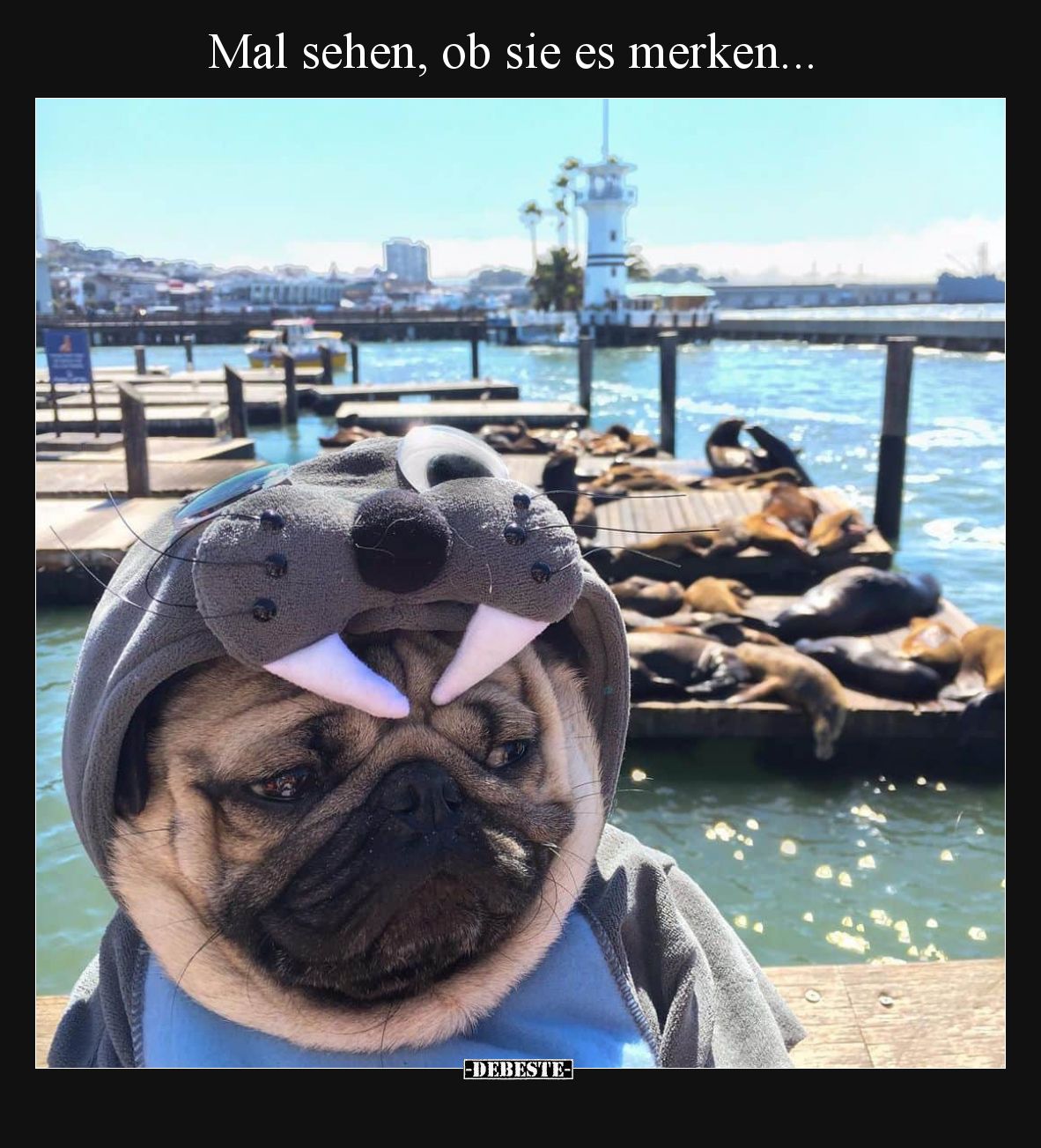 Mal sehen, ob sie es merken.