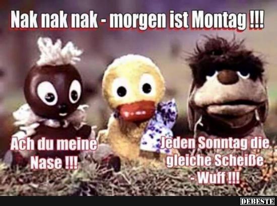 Nak nak nak - Morgen ist Montag! - Lustige Bilder | DEBESTE.de