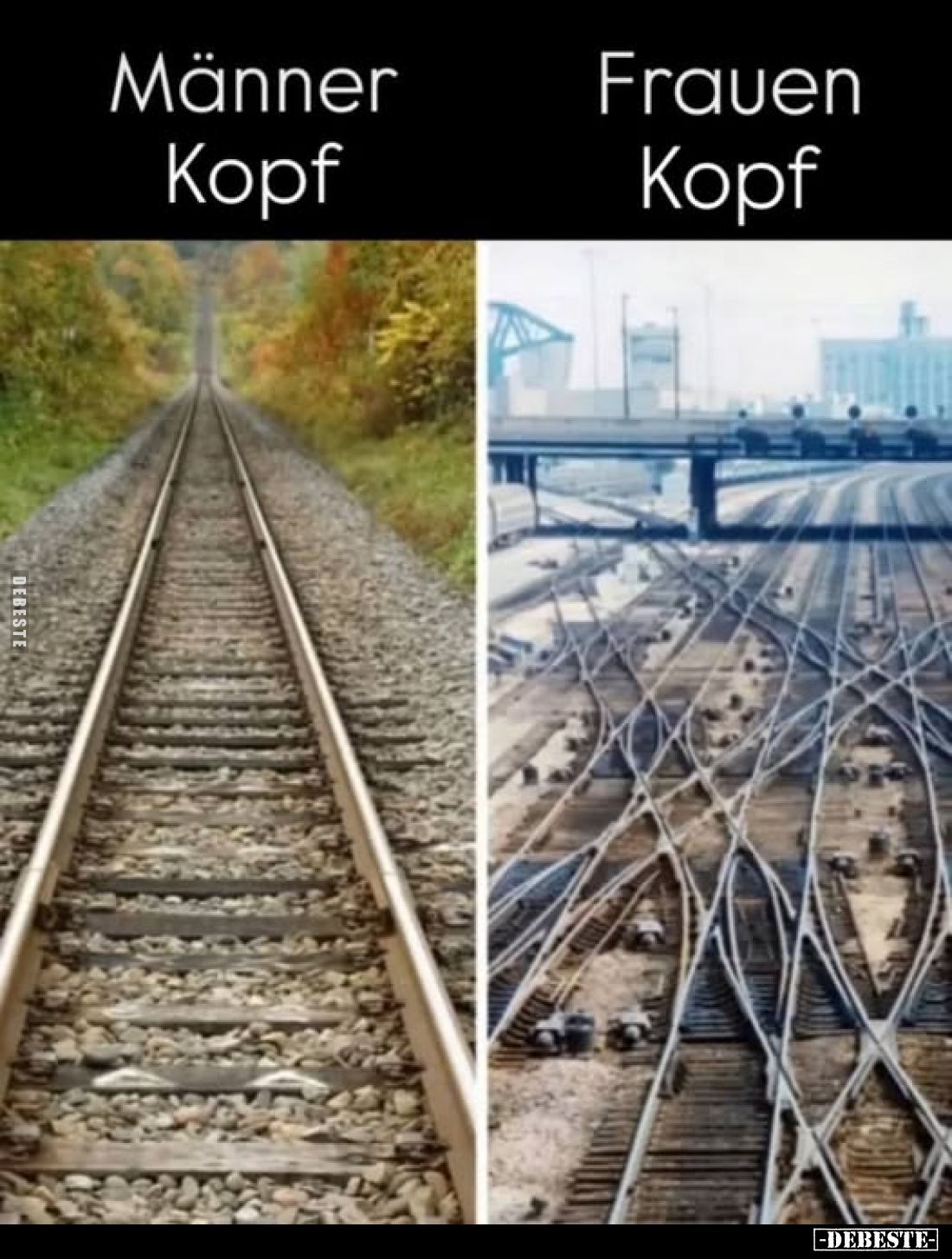 Männer Kopf und
Frauen Kopf.