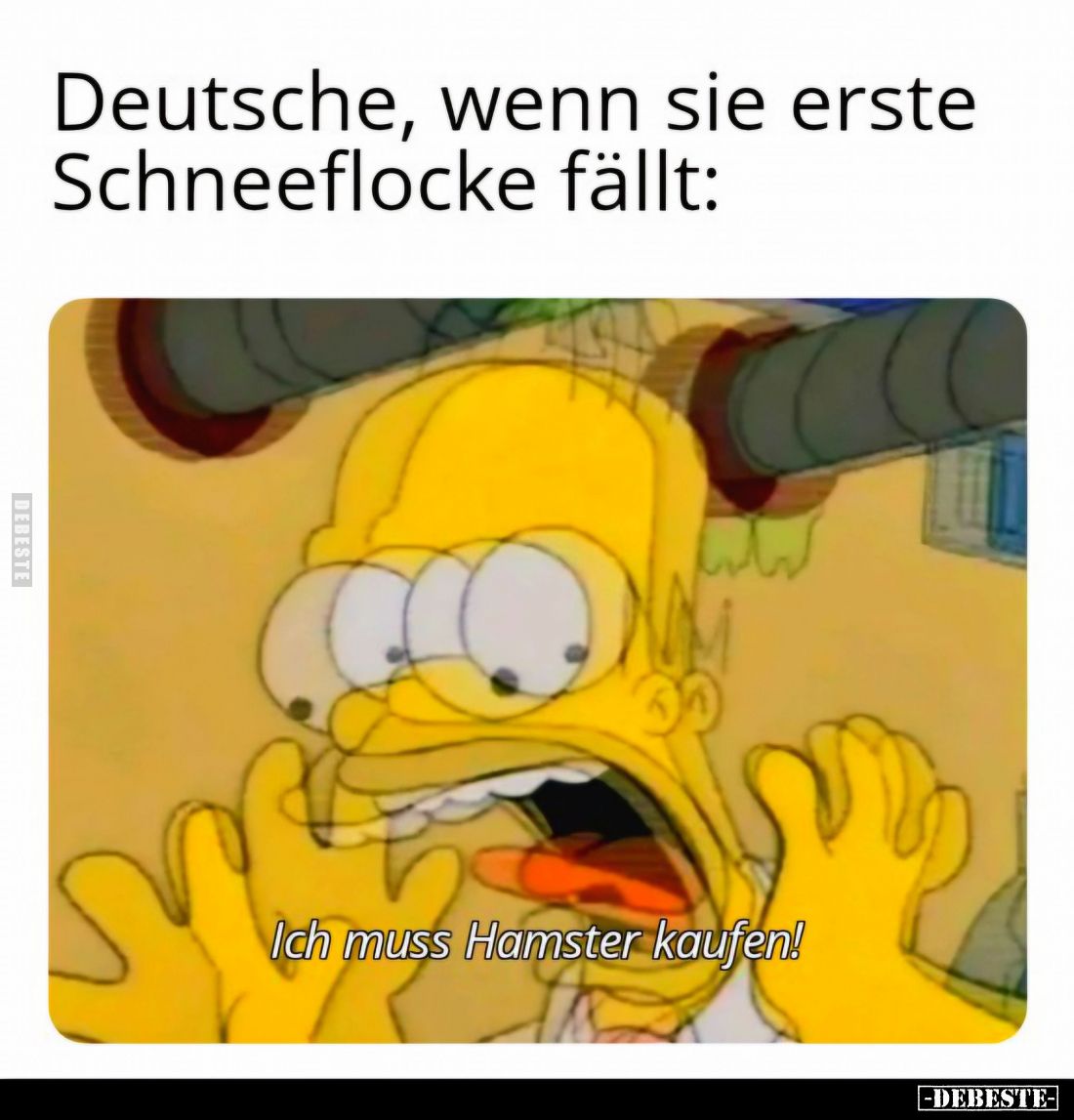 Deutsche, wenn sie erste Schneeflocke fällt:
Ich muss Hamster kaufen!