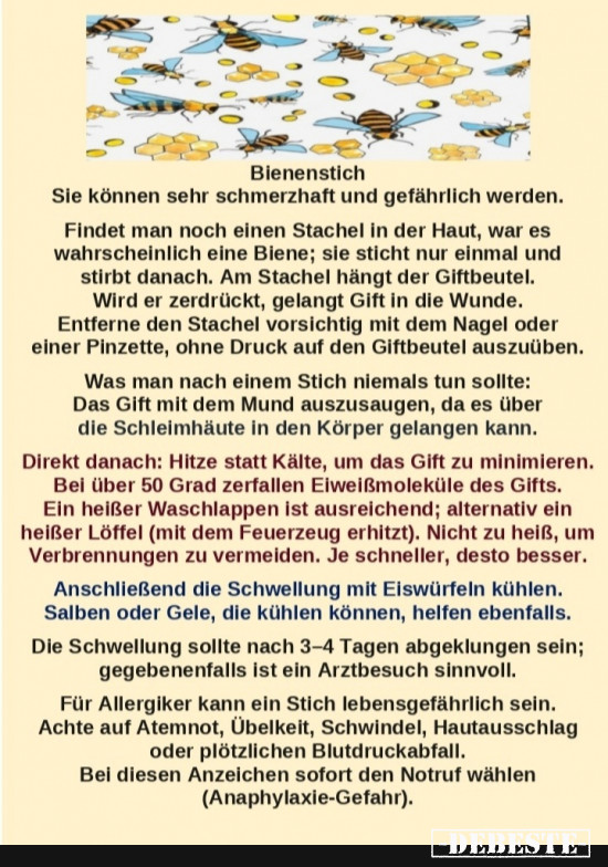 Bienenstich - Lustige Bilder | DEBESTE.de