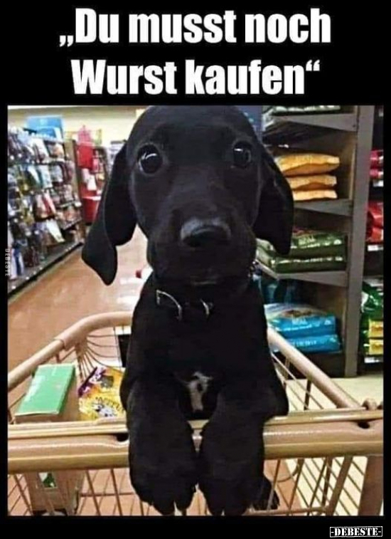 "Du musst noch Wurst kaufen".. - Lustige Bilder | DEBESTE.de