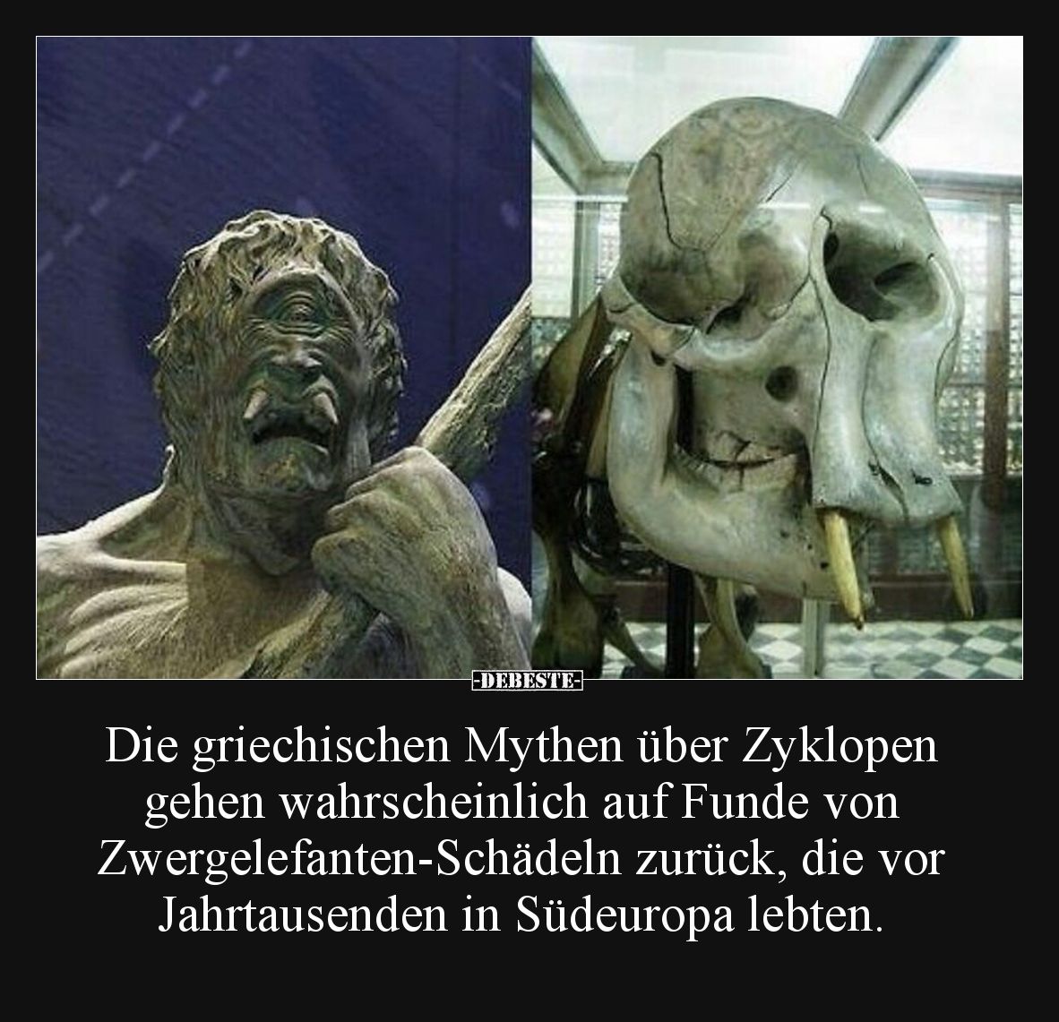 Die griechischen Mythen über Zyklopen gehen wahrscheinlich auf Funde von Zwergelefanten-Schädeln zurück, die vor Jahrtausende...