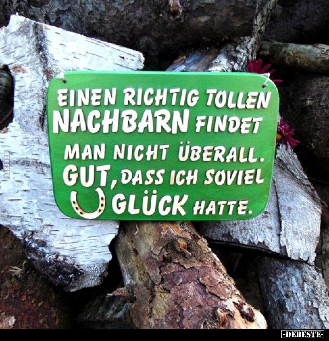 Einen richtig tollen Nachbarn findet man nicht überall. Gut, dass ich soviel Glück hatte.