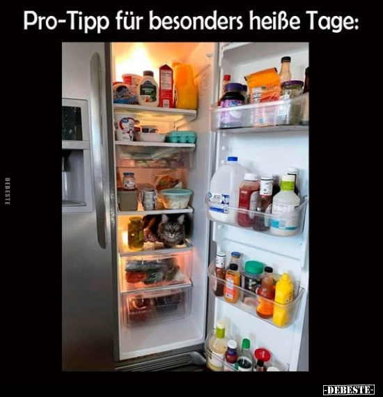 Pro-Tipp für besonders heiße Tage.. - Lustige Bilder | DEBESTE.de