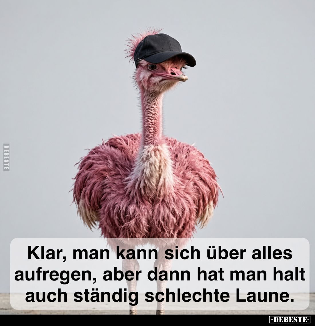 Klar, man kann sich über alles aufregen,
aber dann hat man halt auch ständig schlechte Laune.