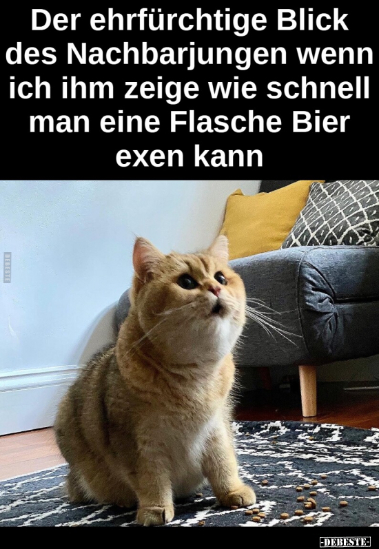 Der ehrfürchtige Blick des Nachbarjungen wenn ich ihm zeige.. - Lustige Bilder | DEBESTE.de