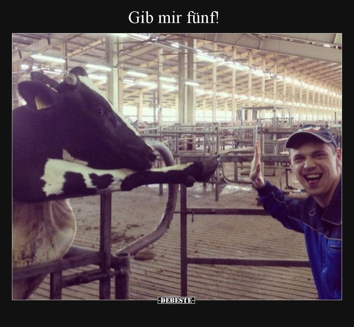 Gib mir fünf!
