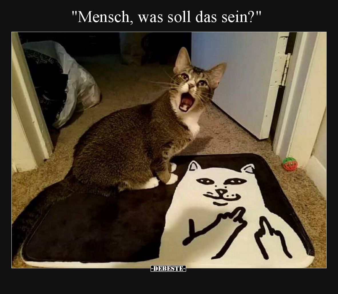 Mensch, was soll das sein?