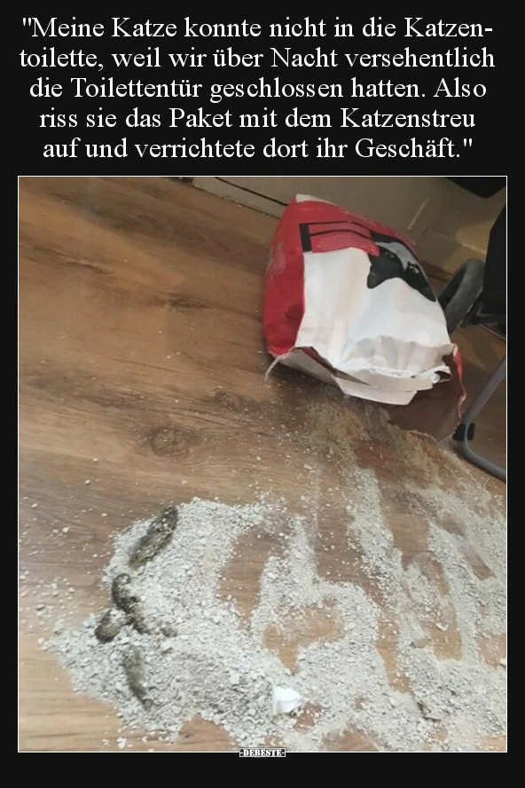 "Meine Katze konnte nicht in die Katzentoilette, weil wir.." - Lustige Bilder | DEBESTE.de