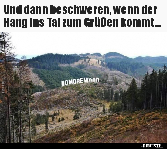 Und dann beschweren, wenn der Hang ins Tal zum Grüßen.. - Lustige Bilder | DEBESTE.de