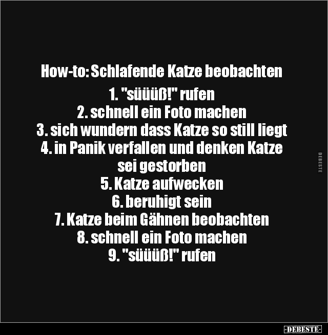 How-to: Schlafende Katze beobachten.. - Lustige Bilder | DEBESTE.de