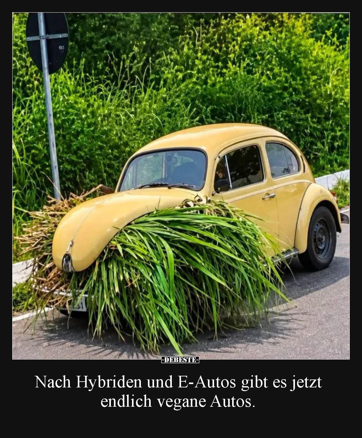 Nach Hybriden und E-Autos gibt es jetzt endlich vegane Autos.