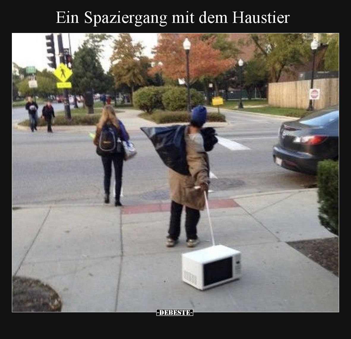 Ein Spaziergang mit dem Haustier