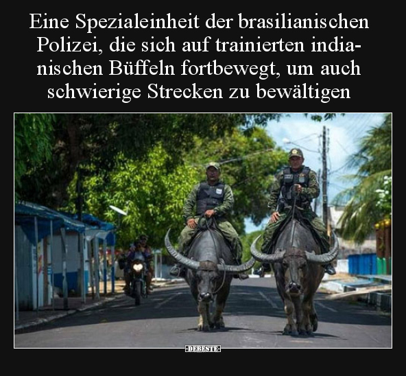 Eine Spezialeinheit der brasilianischen Polizei, die sich.. - Lustige Bilder | DEBESTE.de