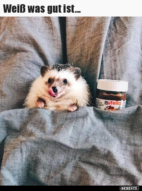 Weiß was gut ist...