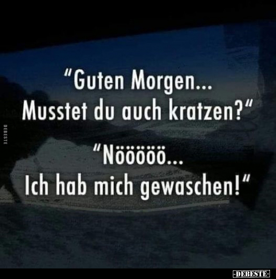 "Guten Morgen... Musstet du auch kratzen?".. - Lustige Bilder | DEBESTE.de