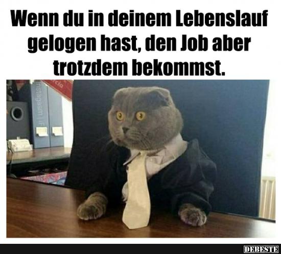 Wenn du in deinem Lebenslauf gelogen hast, den Job aber.. - Lustige Bilder | DEBESTE.de