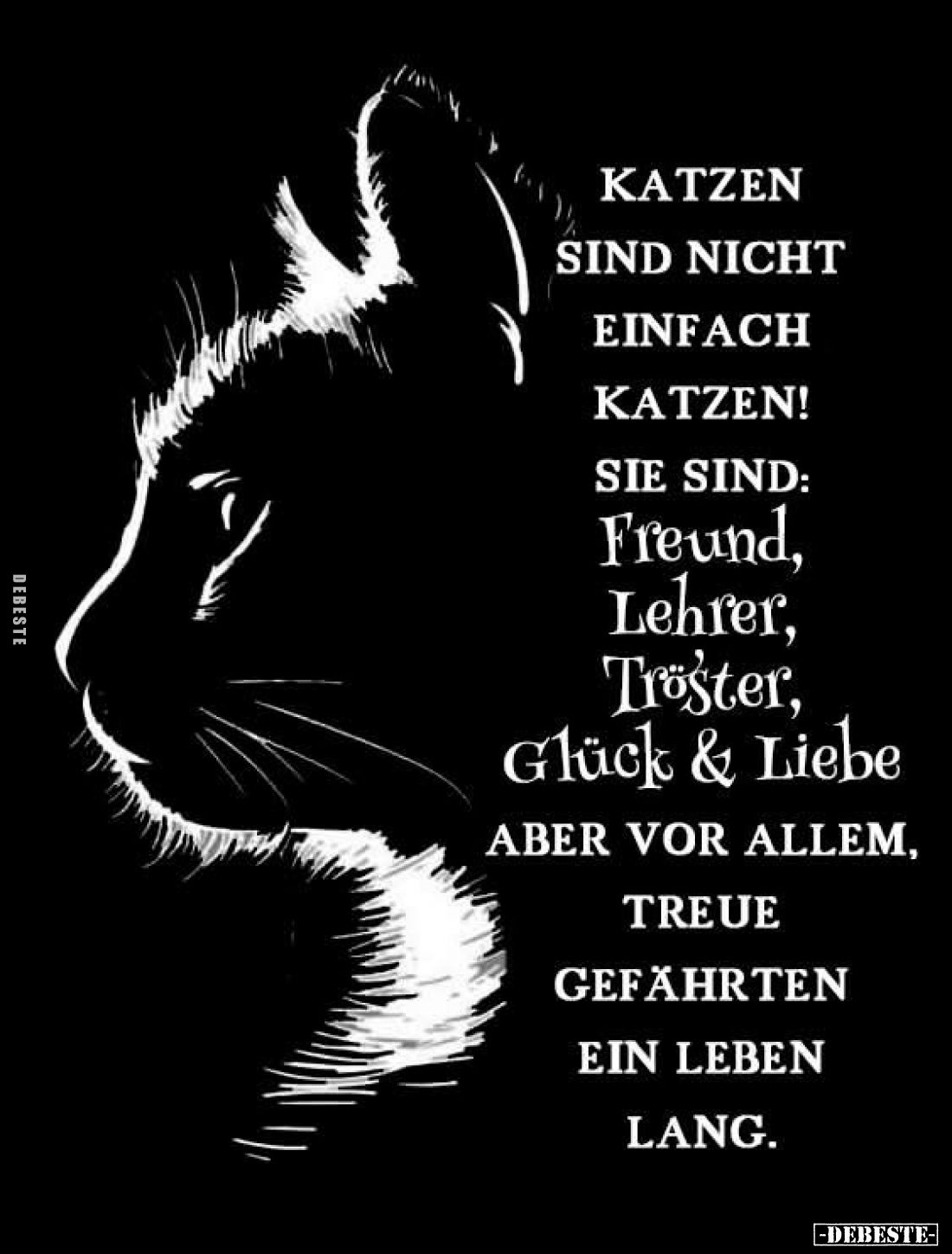 Katzen sind nicht einfach Katzen!
Sie sind:
Freund, Lehrer, Tröster, Glück und Liebe aber vor allem, treue Gefährten ein Le...