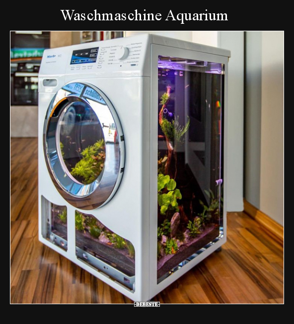 Waschmaschine Aquarium.. - Lustige Bilder | DEBESTE.de