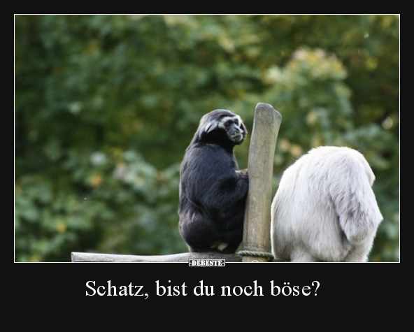 Schatz, bist du noch böse?.. - Lustige Bilder | DEBESTE.de