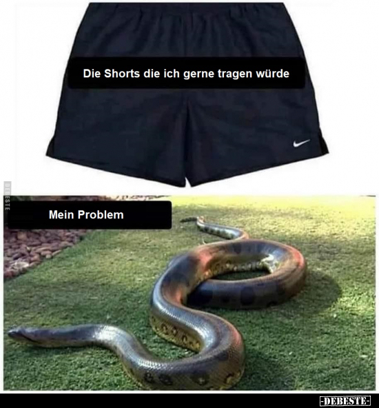 Die Shorts die ich gerne tragen würde

Mein Problem