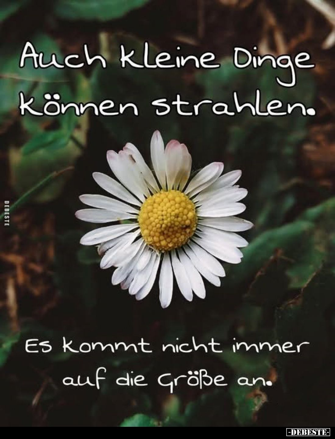 Auch kleine Dinge können strahlen.
Es kommt nicht immer auf die Größe an.