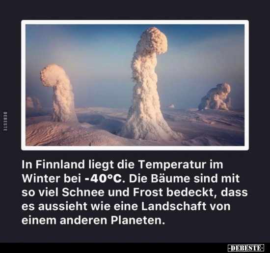 In Finnland liegt die Temperatur im Winter bei -40°C.. - Lustige Bilder | DEBESTE.de