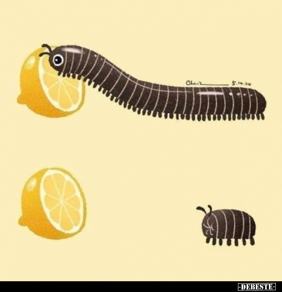  - Lustige Bilder | DEBESTE.de