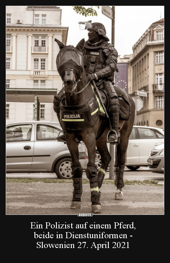 Ein Polizist auf einem Pferd, beide in Dienstuniformen -.. - Lustige Bilder | DEBESTE.de