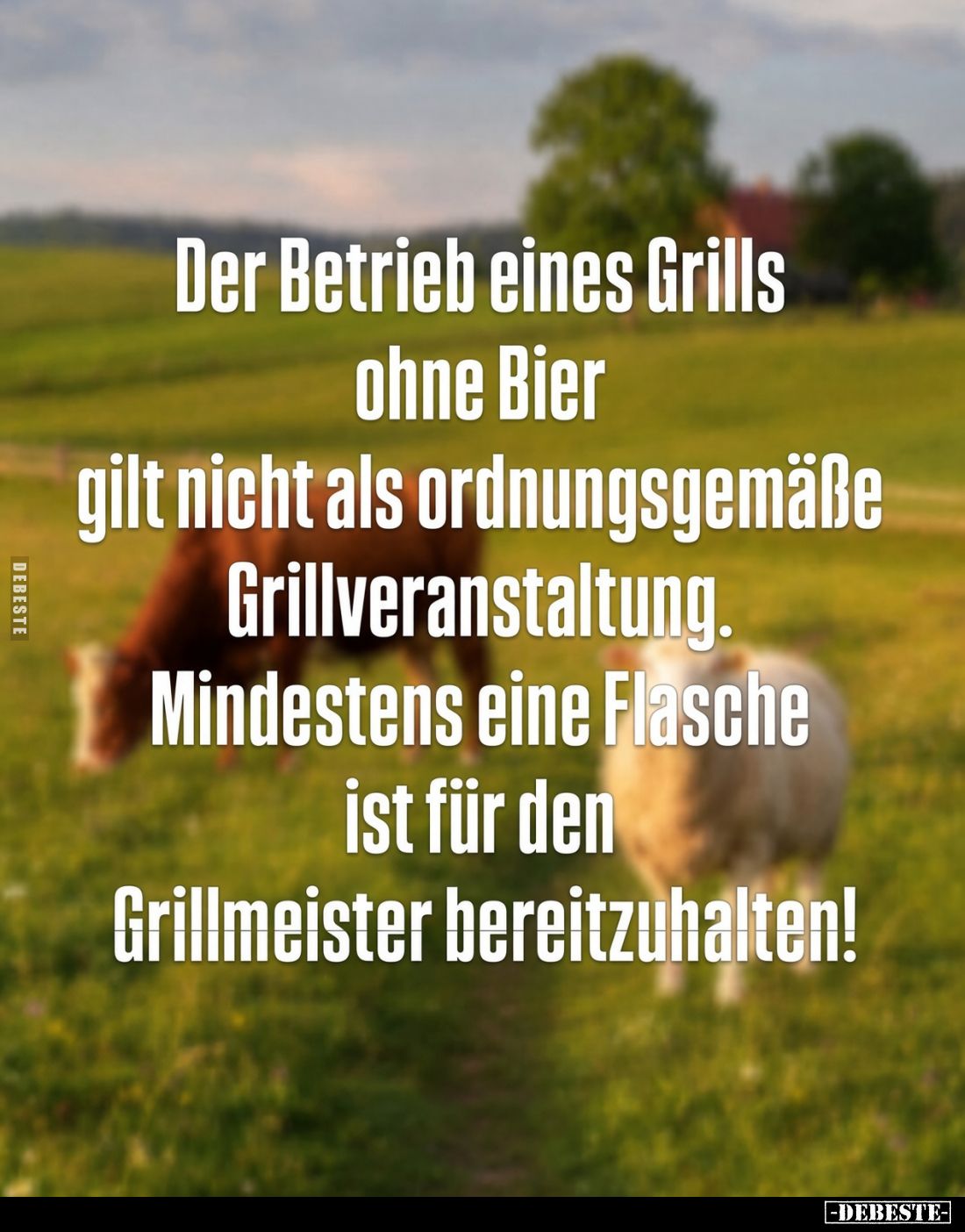 Der Betrieb eines Grills ohne Bier gilt nicht als ordnungsgemäße Grillveranstaltung.

Mindestens eine Flasche ist für den G...
