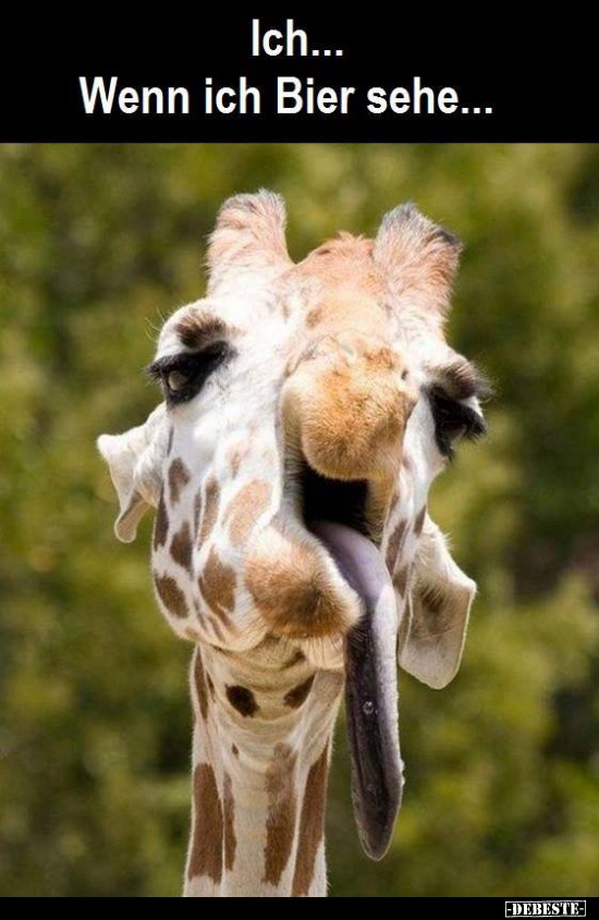 Ich... Wenn ich Bier sehe...