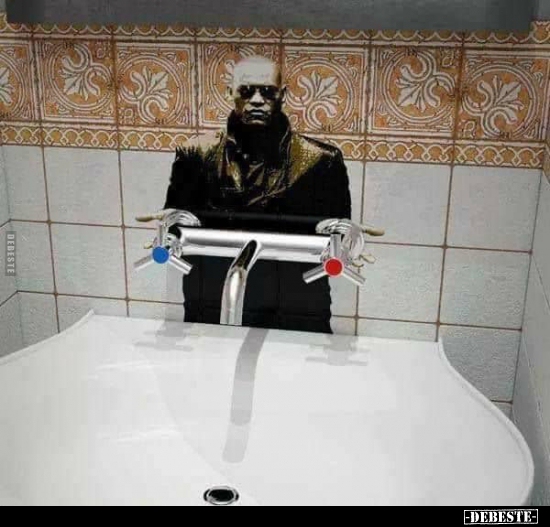  - Lustige Bilder | DEBESTE.de