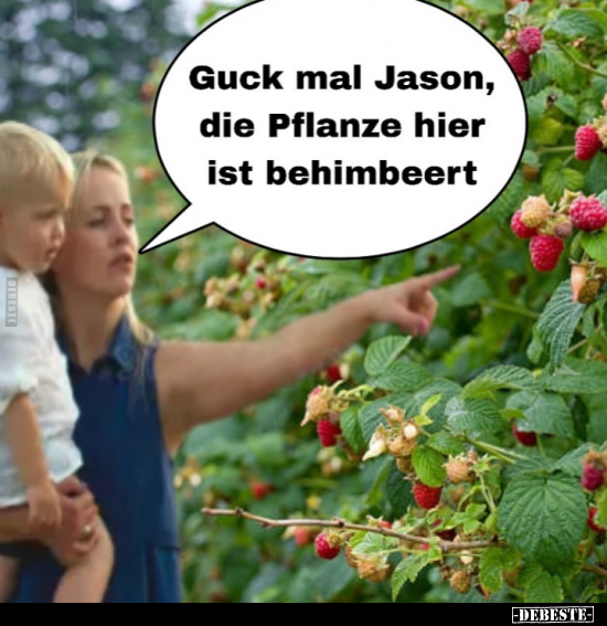 Guck mal Jason, die Pflanze hier ist behimbeert.. - Lustige Bilder | DEBESTE.de