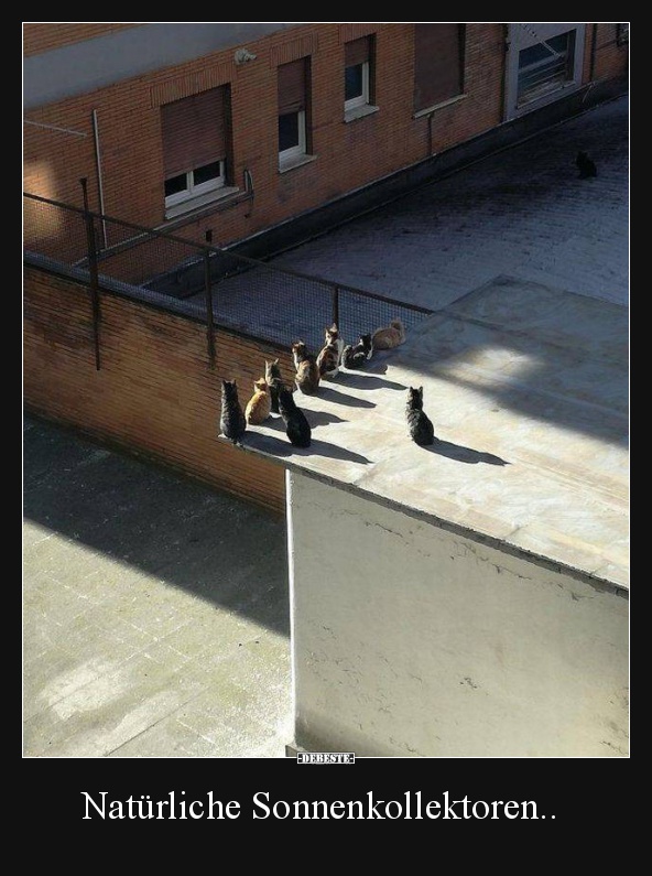 Natürliche Sonnenkollektoren..