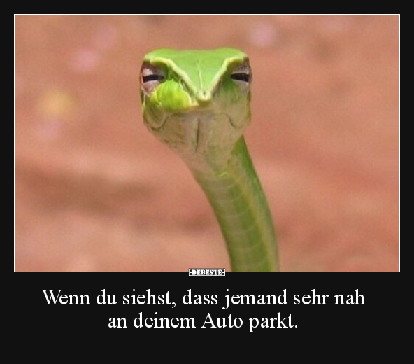 Wenn du siehst, dass jemand sehr nah an deinem Auto parkt.