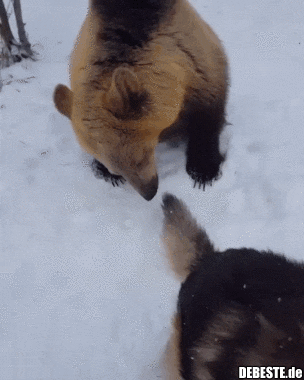 ☺ - Lustige Bilder | DEBESTE.de