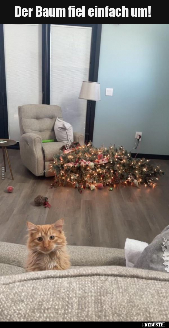 Der Baum fiel einfach um!