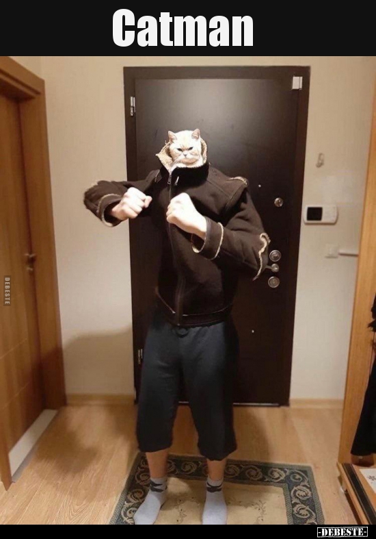 Catman..