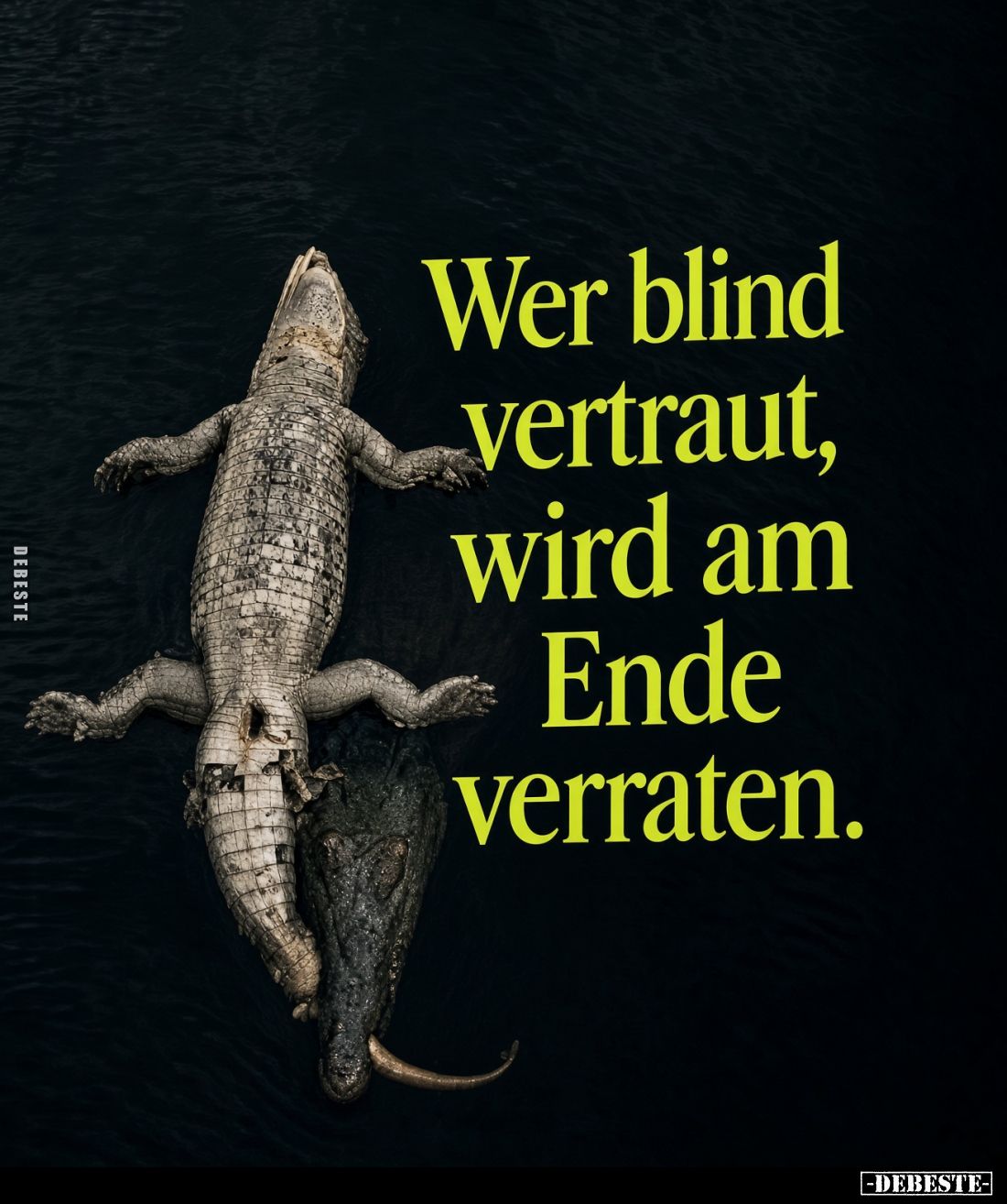 Wer blind
vertraut,
wird am
Ende
verraten.