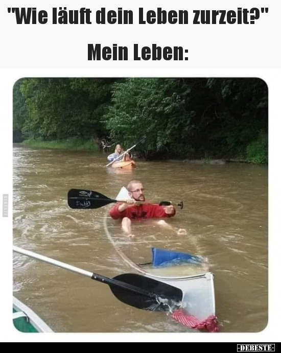 "Wie läuft dein Leben zurzeit?" Mein Leben.. Lustige Bilder, Sprüche