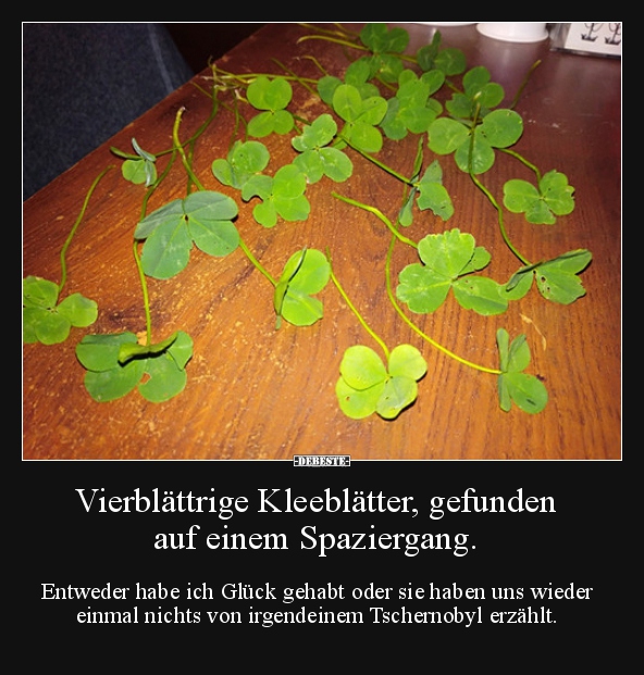 Vierblättrige Kleeblätter, gefunden auf einem..