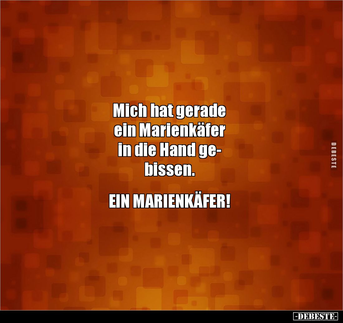 Mich hat gerade 
ein Marienkäfer 
in die Hand ge-
bissen. 


EIN MARIENKÄFER!