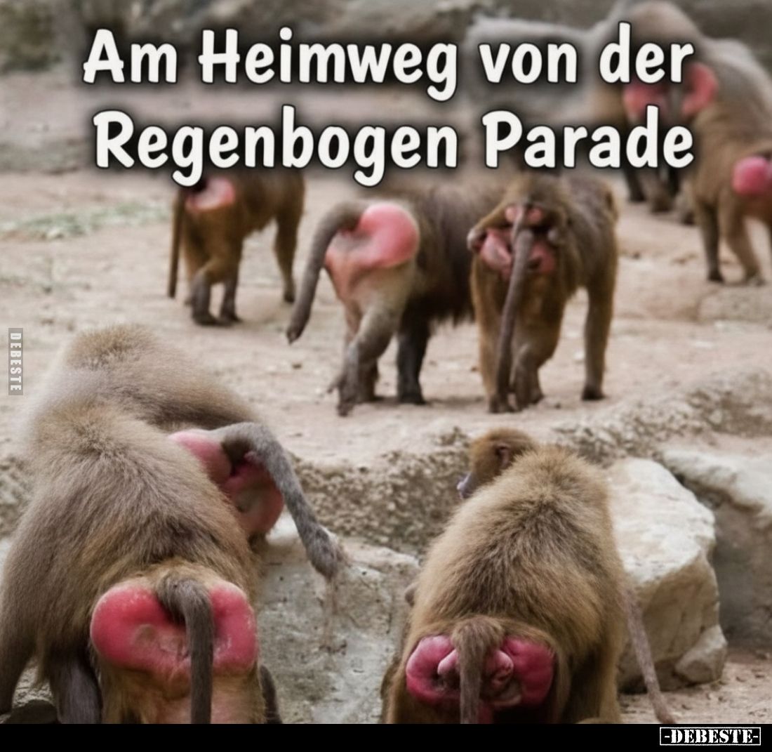 Am Heimweg von der Regenbogen Parade
