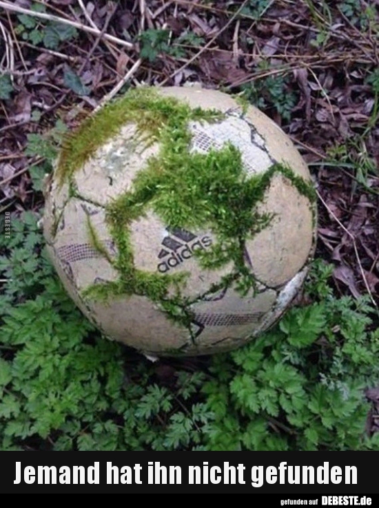 Jemand hat ihn nicht gefunden..