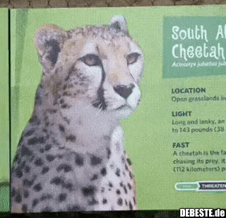 Überall wird man verarscht..