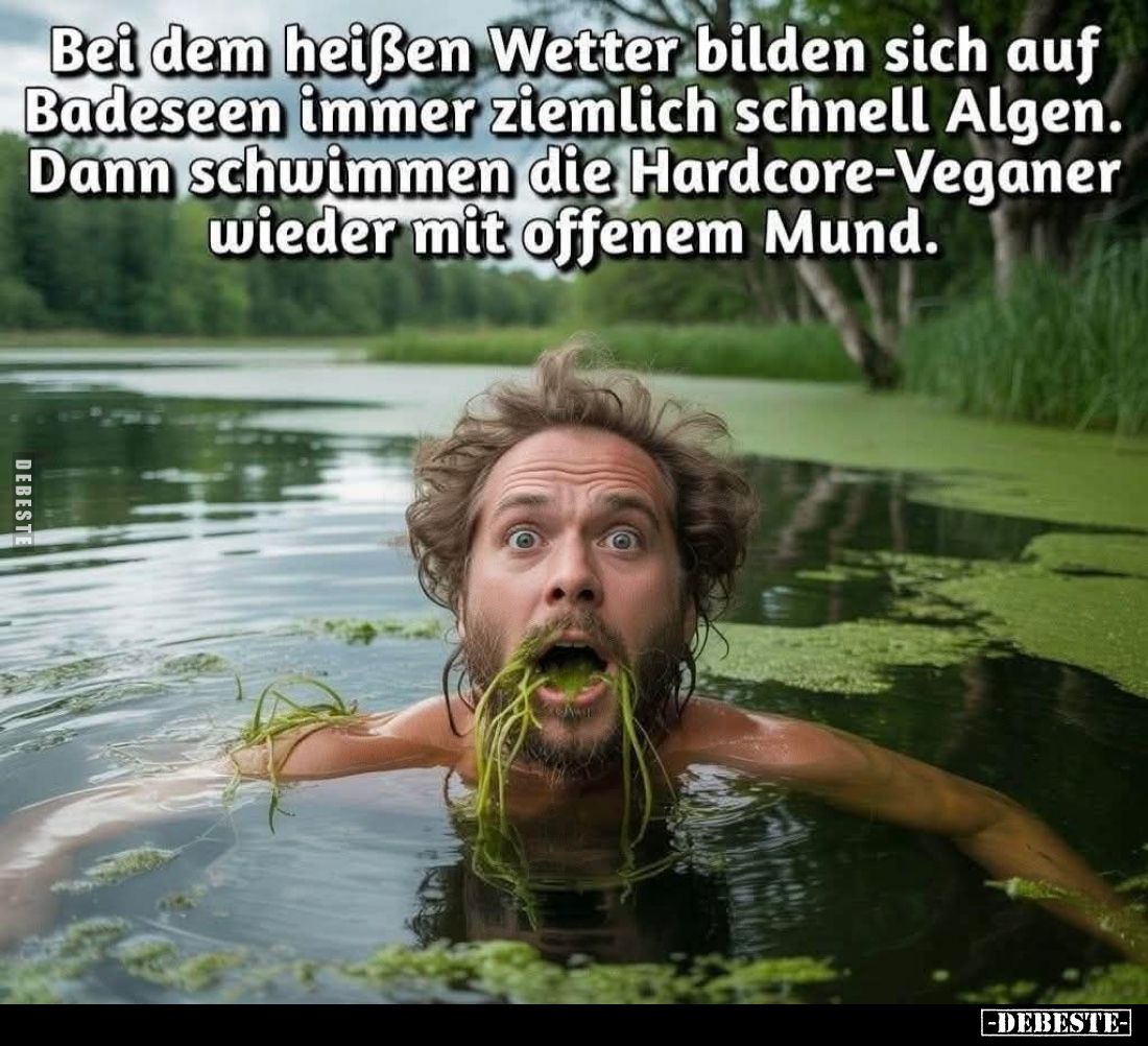 Bei dem heißen Wetter bilden sich auf Badeseen immer ziemlich schnell Algen. Dann schwimmen die Hardcore-Veganer wieder mit o...
