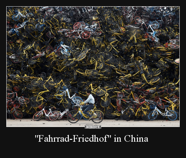 "Fahrrad-Friedhof" in China.. - Lustige Bilder | DEBESTE.de