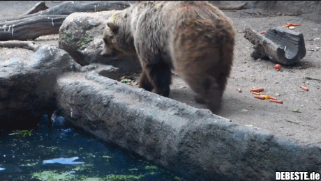 Der Retter in der Not..