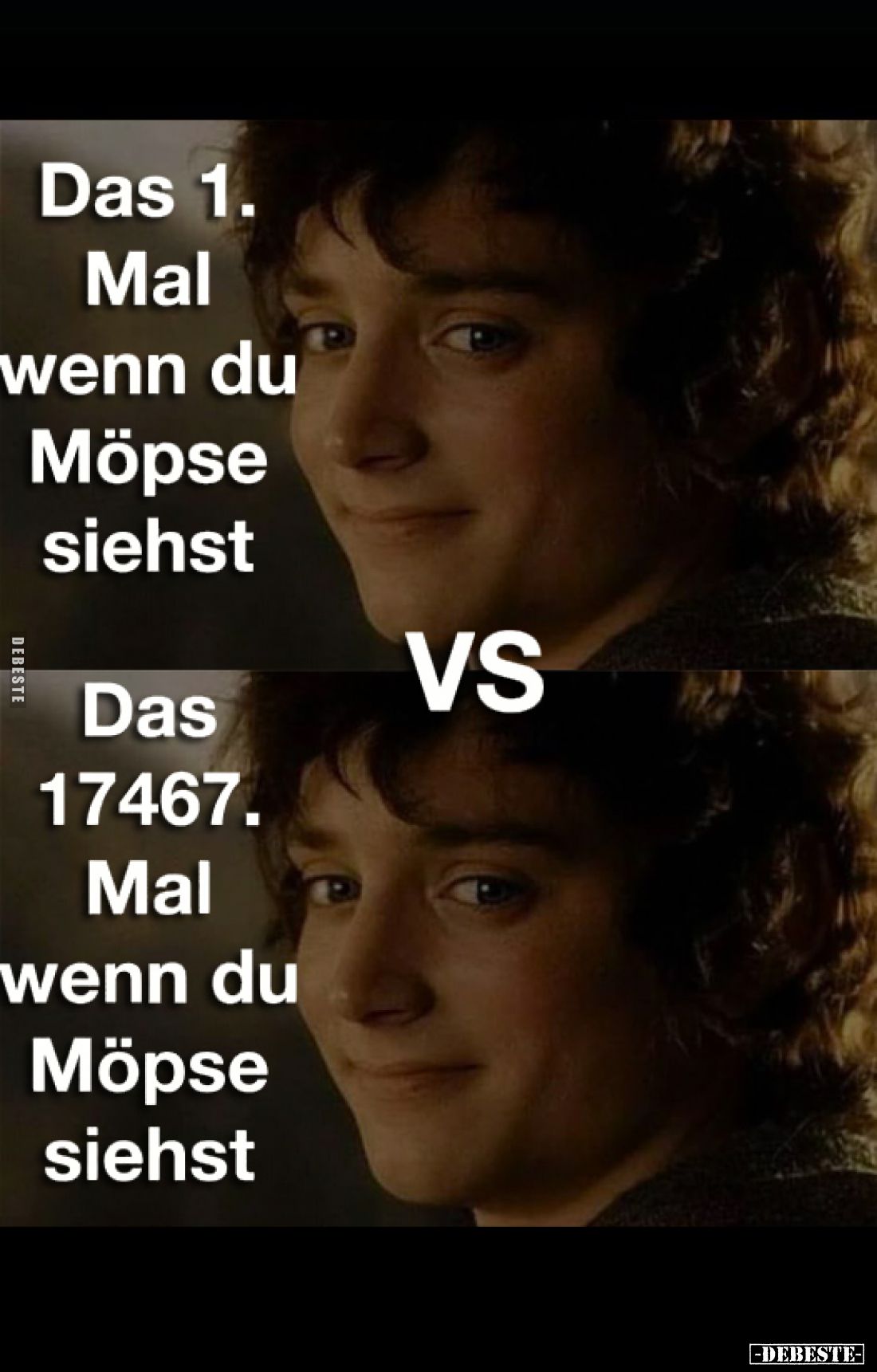 Das 1. Mal wenn du Möpse siehst
VS
Das 17467. Mal wenn du Möpse siehst